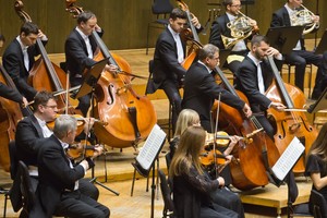 Hungarian Symphony Orchestra cover photo